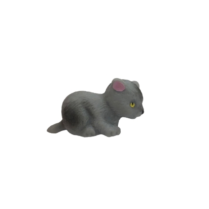 Micro chaton couché gris