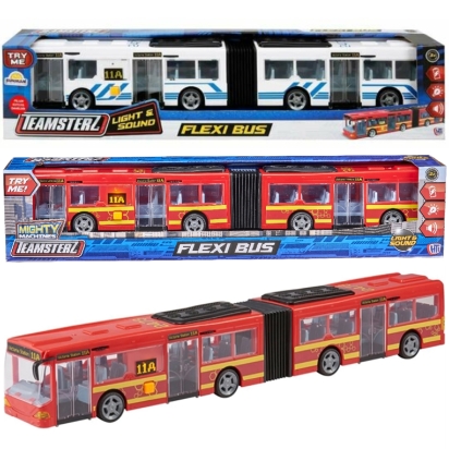 TZ Flexi Bus