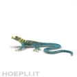 Iguane à collier