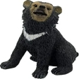 Jeune ours à collier