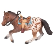 Appaloosa Mâle