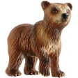 Ours Brun Jeune