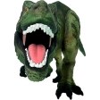 Tyrannosaurus Rex Museum Line