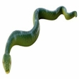 Boa