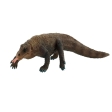 Varan de Komodo