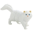 chat persan Princess