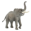 Eléphant D'Afrique