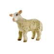 Agneau