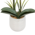 Orchidée Riva haut 60 cm avec pot cérami