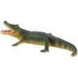Alligator