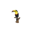 Toucan pêcheur