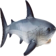 Requin Blanc