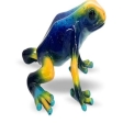 Grenouille arboricole Tumucumaque