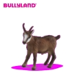 Chamois