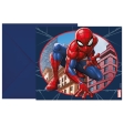 Spider-Man Crime Fighter Invitations et
