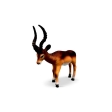 Antilope impala