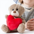 Ours en peluche avec cœur rouge