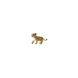 Lionceau