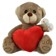 Ours en peluche avec cœur rouge