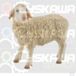 Mouton