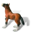 Poulain Shire Horse