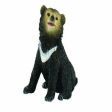 Jeune ours à collier