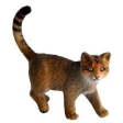 Chat sauvage