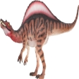 Spinosaurus Museum Line