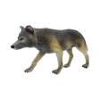 Loup