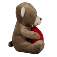 Ours en peluche avec cœur rouge