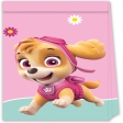 Paw Patrol Skye And Everest Sacs de fête