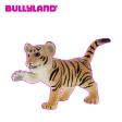 Jeune tigre brun