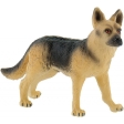 Chien de berger Rex