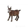 Chamois