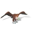 Vautour moine