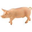 Cochon