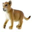 Lionceau