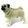 Mops Percy