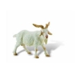 Bouc