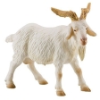 Bouc