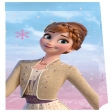 Frozen II Wind Spirit Sac de fête papier
