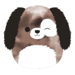 SQCR - Peluche Squishmallows 30cm