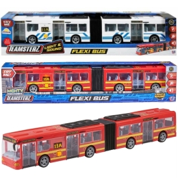 TZ Flexi Bus
