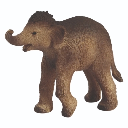 Mammouth bébé